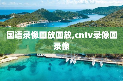 国语录像回放回放,cntv录像回录像