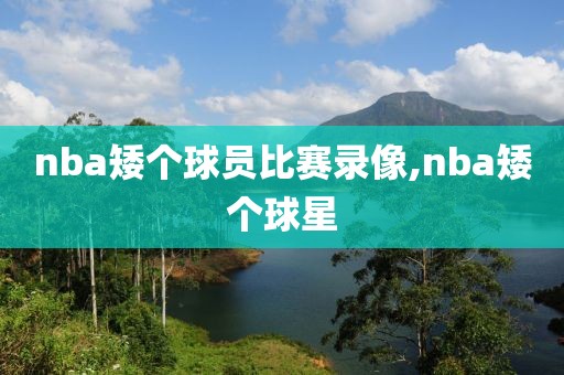 nba矮个球员比赛录像,nba矮个球星