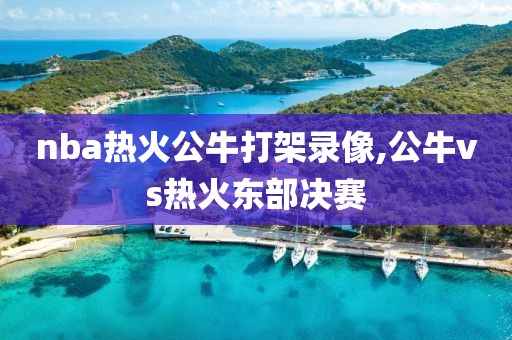 nba热火公牛打架录像,公牛vs热火东部决赛