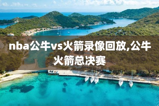 nba公牛vs火箭录像回放,公牛火箭总决赛