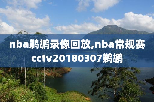 nba鹈鹕录像回放,nba常规赛cctv20180307鹈鹕