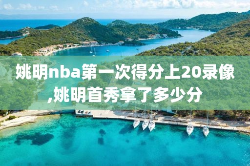 姚明nba第一次得分上20录像,姚明首秀拿了多少分