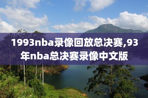 1993nba录像回放总决赛,93年nba总决赛录像中文版