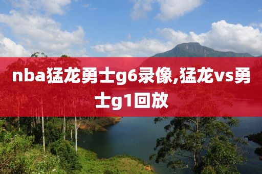 nba猛龙勇士g6录像,猛龙vs勇士g1回放
