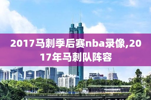 2017马刺季后赛nba录像,2017年马刺队阵容