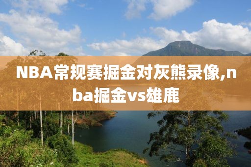 NBA常规赛掘金对灰熊录像,nba掘金vs雄鹿