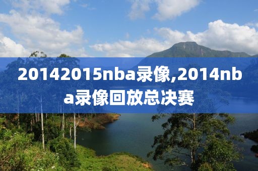20142015nba录像,2014nba录像回放总决赛