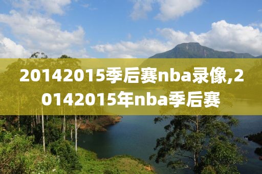 20142015季后赛nba录像,20142015年nba季后赛