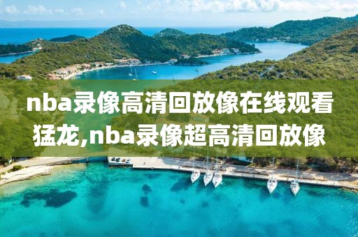 nba录像高清回放像在线观看猛龙,nba录像超高清回放像