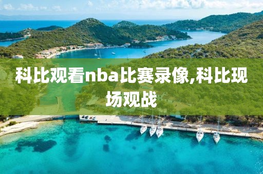 科比观看nba比赛录像,科比现场观战