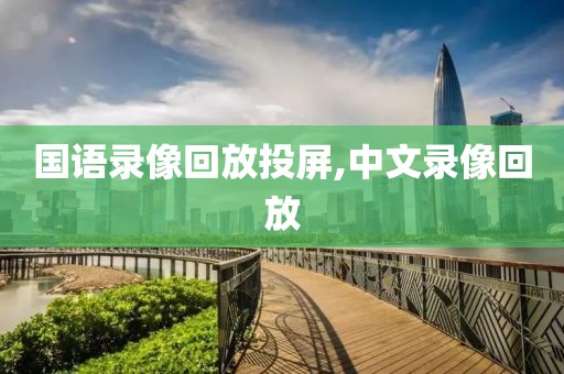 国语录像回放投屏,中文录像回放