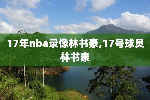 17年nba录像林书豪,17号球员林书豪