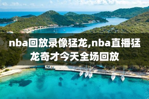 nba回放录像猛龙,nba直播猛龙奇才今天全场回放