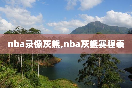 nba录像灰熊,nba灰熊赛程表