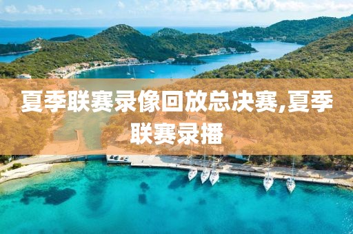 夏季联赛录像回放总决赛,夏季联赛录播