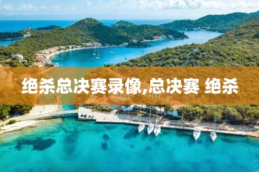 绝杀总决赛录像,总决赛 绝杀