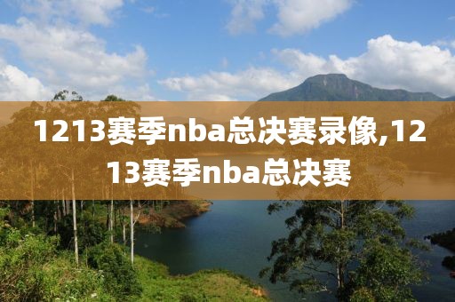 1213赛季nba总决赛录像,1213赛季nba总决赛