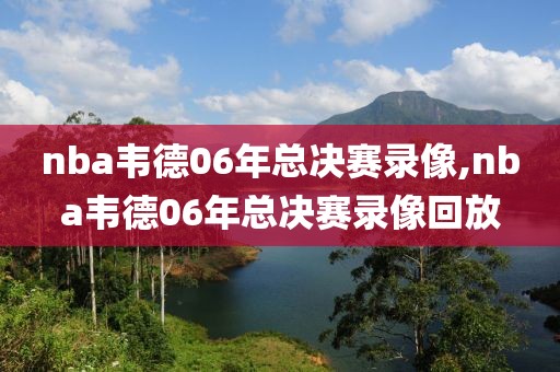nba韦德06年总决赛录像,nba韦德06年总决赛录像回放