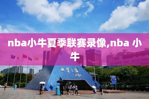 nba小牛夏季联赛录像,nba 小牛