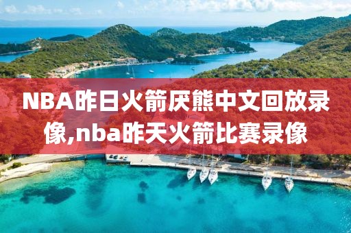 NBA昨日火箭厌熊中文回放录像,nba昨天火箭比赛录像