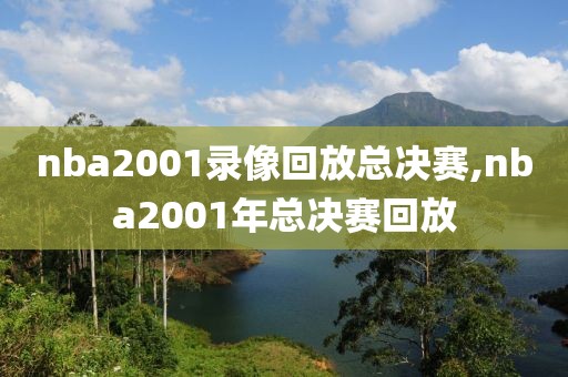 nba2001录像回放总决赛,nba2001年总决赛回放