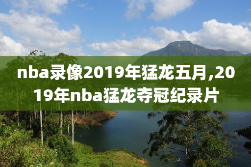 nba录像2019年猛龙五月,2019年nba猛龙夺冠纪录片