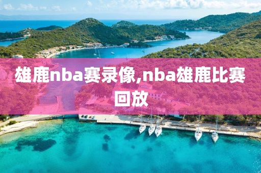 雄鹿nba赛录像,nba雄鹿比赛回放