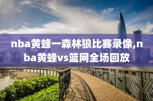 nba黄蜂一森林狼比赛录像,nba黄蜂vs篮网全场回放
