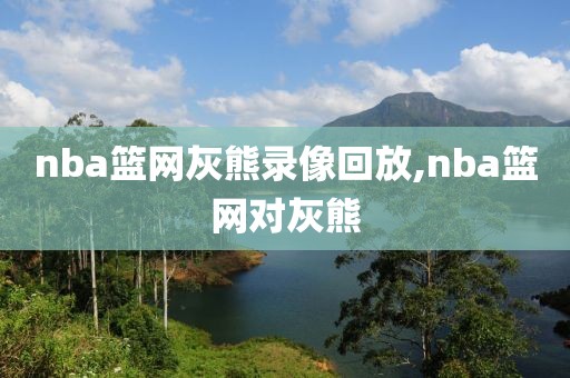 nba篮网灰熊录像回放,nba篮网对灰熊