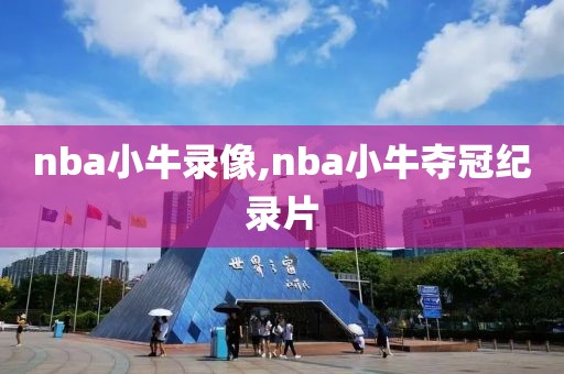 nba小牛录像,nba小牛夺冠纪录片