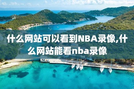 什么网站可以看到NBA录像,什么网站能看nba录像
