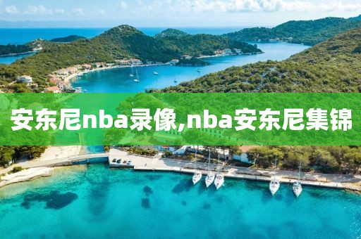 安东尼nba录像,nba安东尼集锦