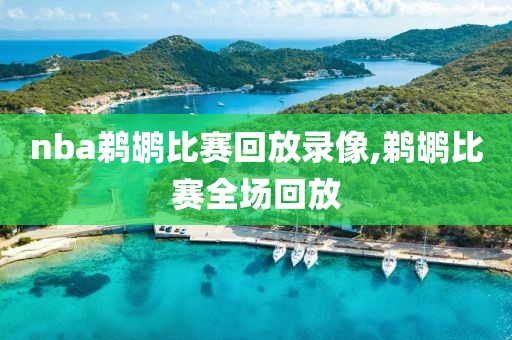 nba鹈鹕比赛回放录像,鹈鹕比赛全场回放