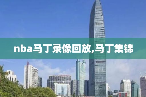nba马丁录像回放,马丁集锦