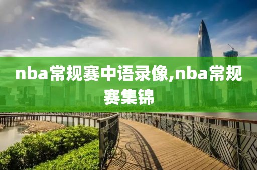 nba常规赛中语录像,nba常规赛集锦