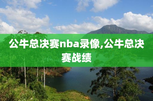 公牛总决赛nba录像,公牛总决赛战绩