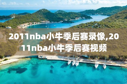 2011nba小牛季后赛录像,2011nba小牛季后赛视频
