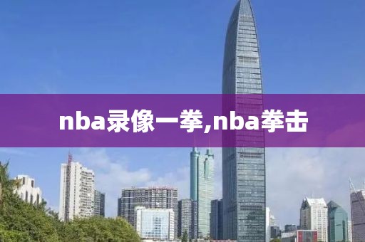 nba录像一拳,nba拳击