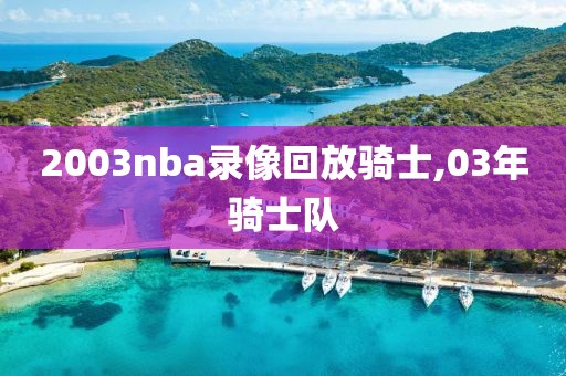 2003nba录像回放骑士,03年骑士队
