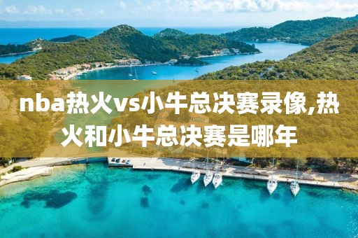 nba热火vs小牛总决赛录像,热火和小牛总决赛是哪年