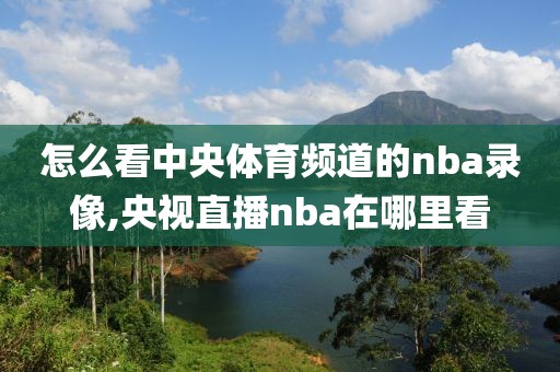 怎么看中央体育频道的nba录像,央视直播nba在哪里看