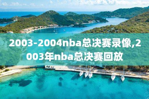 2003-2004nba总决赛录像,2003年nba总决赛回放