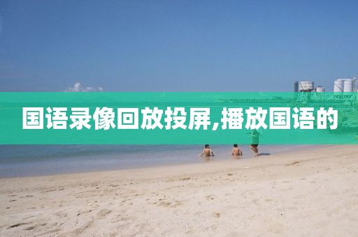 国语录像回放投屏,播放国语的