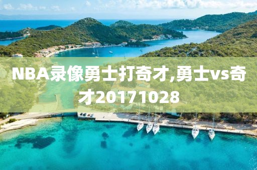 NBA录像勇士打奇才,勇士vs奇才20171028
