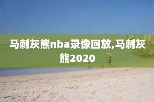 马刺灰熊nba录像回放,马刺灰熊2020
