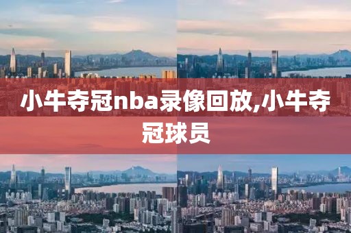 小牛夺冠nba录像回放,小牛夺冠球员