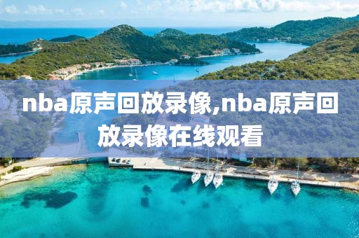 nba原声回放录像,nba原声回放录像在线观看