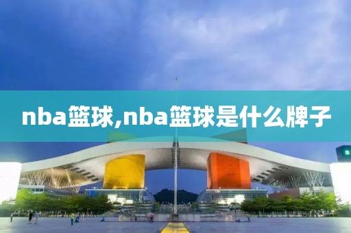nba篮球,nba篮球是什么牌子