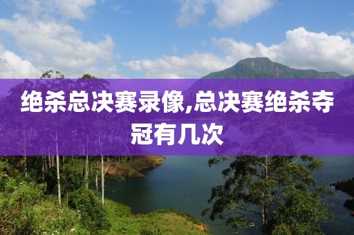 绝杀总决赛录像,总决赛绝杀夺冠有几次