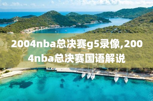 2004nba总决赛g5录像,2004nba总决赛国语解说